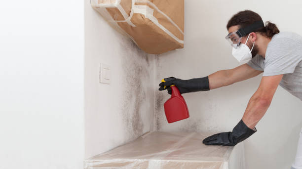 Professional Mold Inspection And Testing technician working in Hempstead, NY